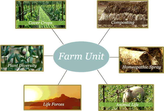 Biodynamic Concepts