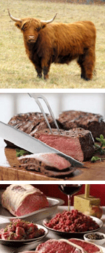 Grass Fed Beef